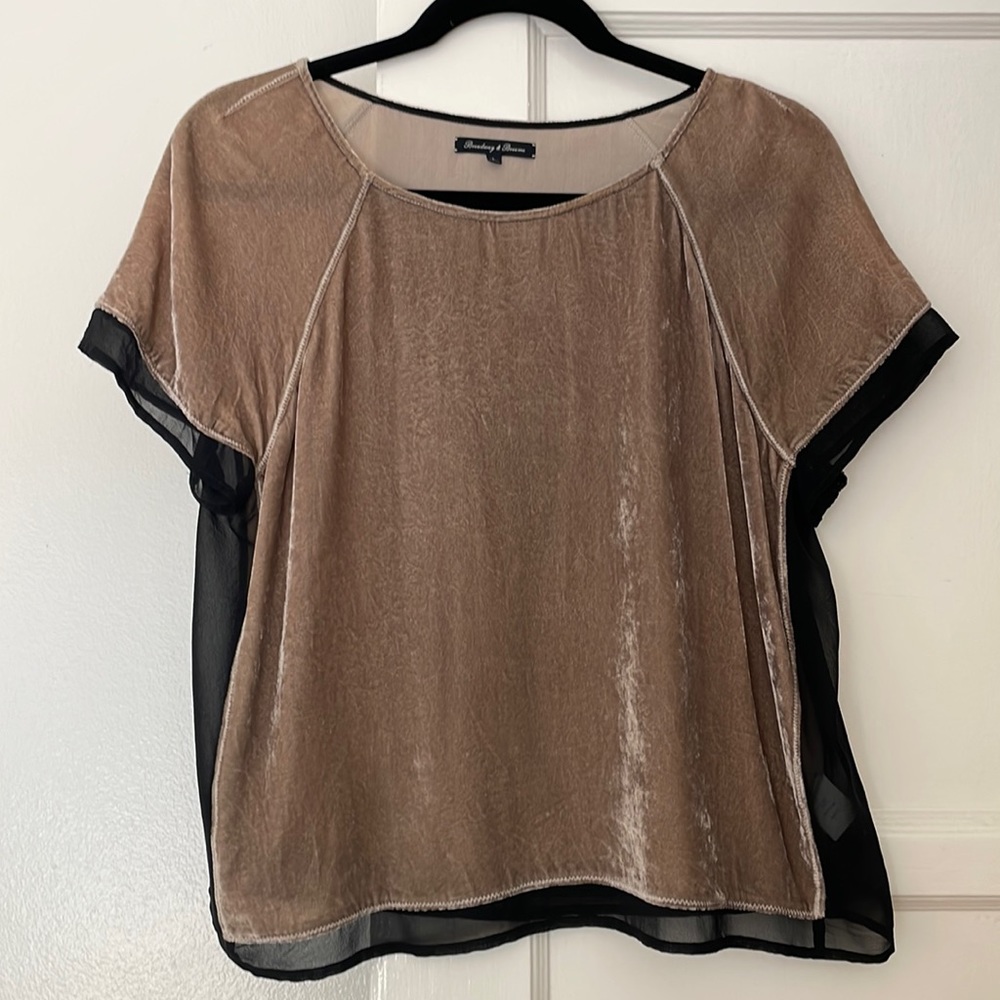 Velvet and Silk short sleeve top